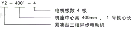 YR系列(H355-1000)高压YR6301-10/710KW三相异步电机西安西玛电机型号说明